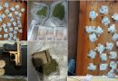 Trafic de droguri în proporții deosebit de mari la Sofia raionul Hîncești